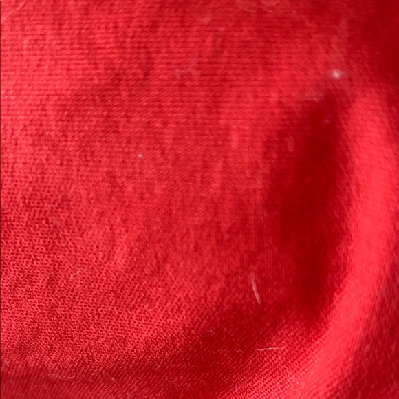 Banana Republic Red Women's Red Shorts - Picture 9 of 9